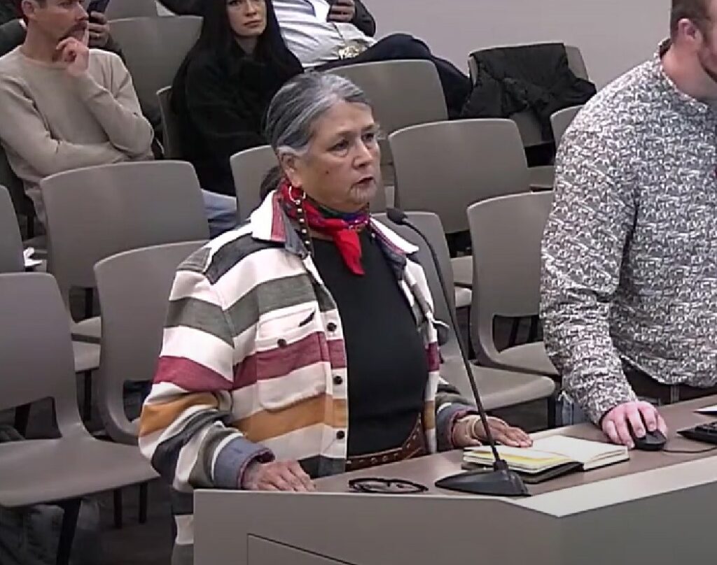 Lily Mendoza from the Red Ribbon Skirt Society at the regular Pennington County Commission meeting on Dec. 3, 2024.