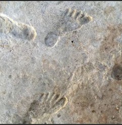 Ancient footprints at White Sands perhaps 23,000 years old (Photo courtesy of chrissysenecal.com)