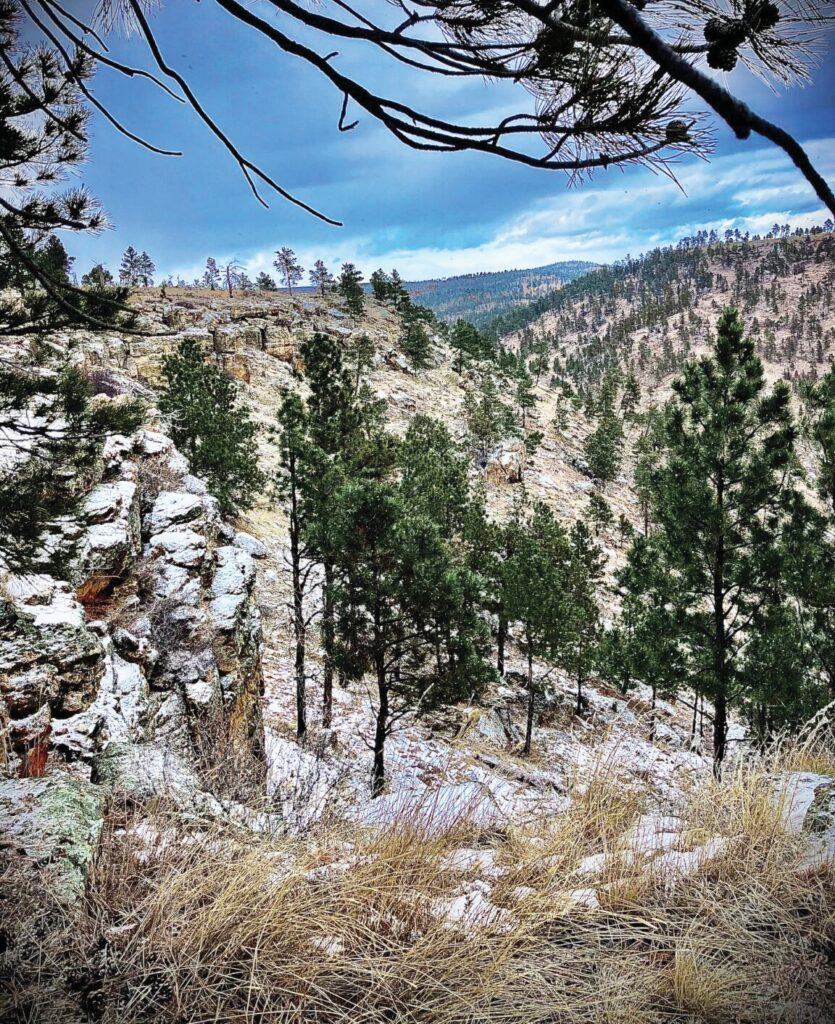 Rim of Craven Canyon in the Black Hills. (Photo from Dakota Rural Action website)