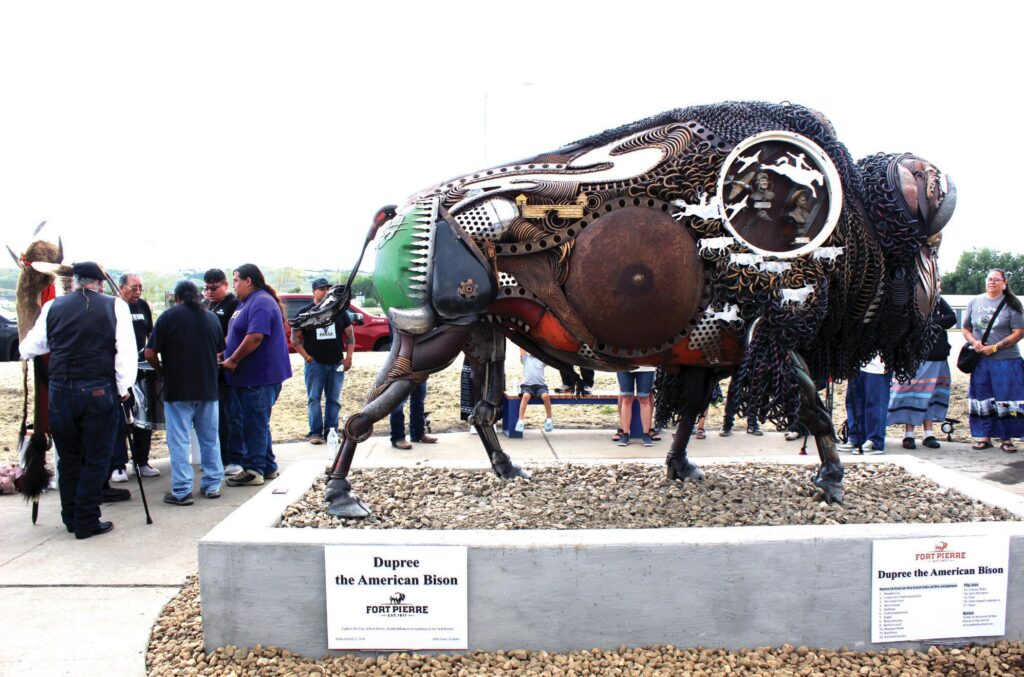 Sculptor John Lopez unveiled “Dupree the American Bison” in Fort Pierre, where the Wakinyan Maza Drum Group offered an honoring song as community members gathered to celebrate the new metal sculpture recognizing Fred Dupree and the family’s historic role in saving the buffalo from extinction. (Photo by Ernestine Anunkasan Hopa)