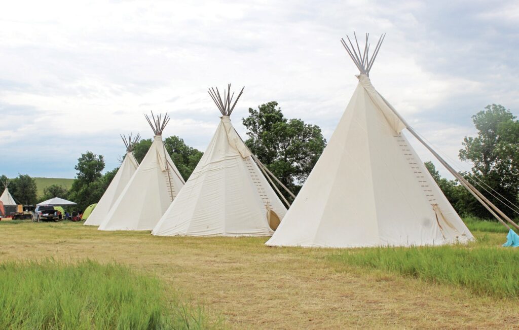 Four tipis rise on Pezi Sla, newly purchased Cheyenne River Sioux Tribal land near the Little Big Horn Battlefield, where Cheyenne River and Standing Rock tribal members camped together in a sovereign presence during the 150th Commemorative event. (Photo by Ernestine Anunkasan Hopa)