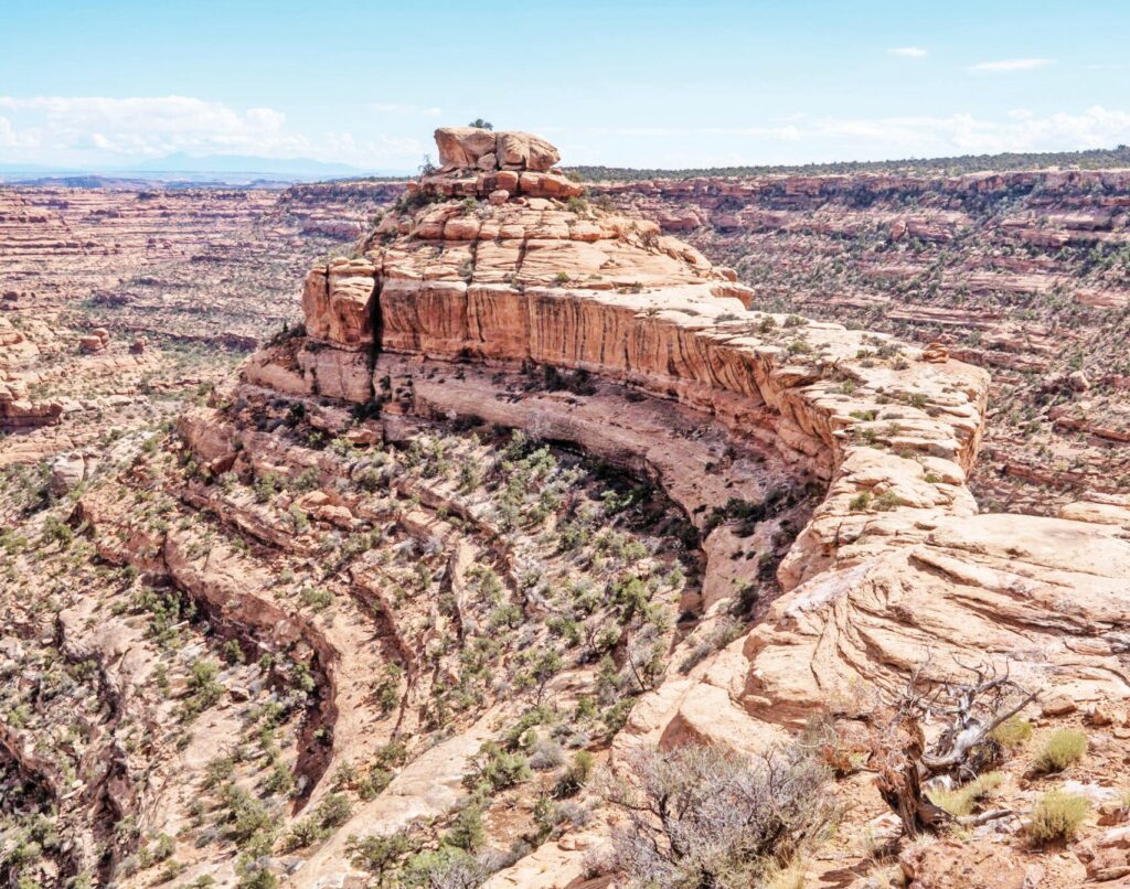 A canyon in Bears Ears National Monument is pictured on Saturday, Sept. 20, 2025. (Photo by Spenser Heaps for Utah News Dispatch)